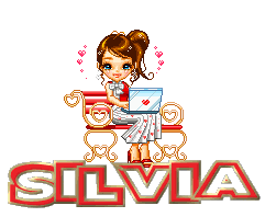 laptop_silvia