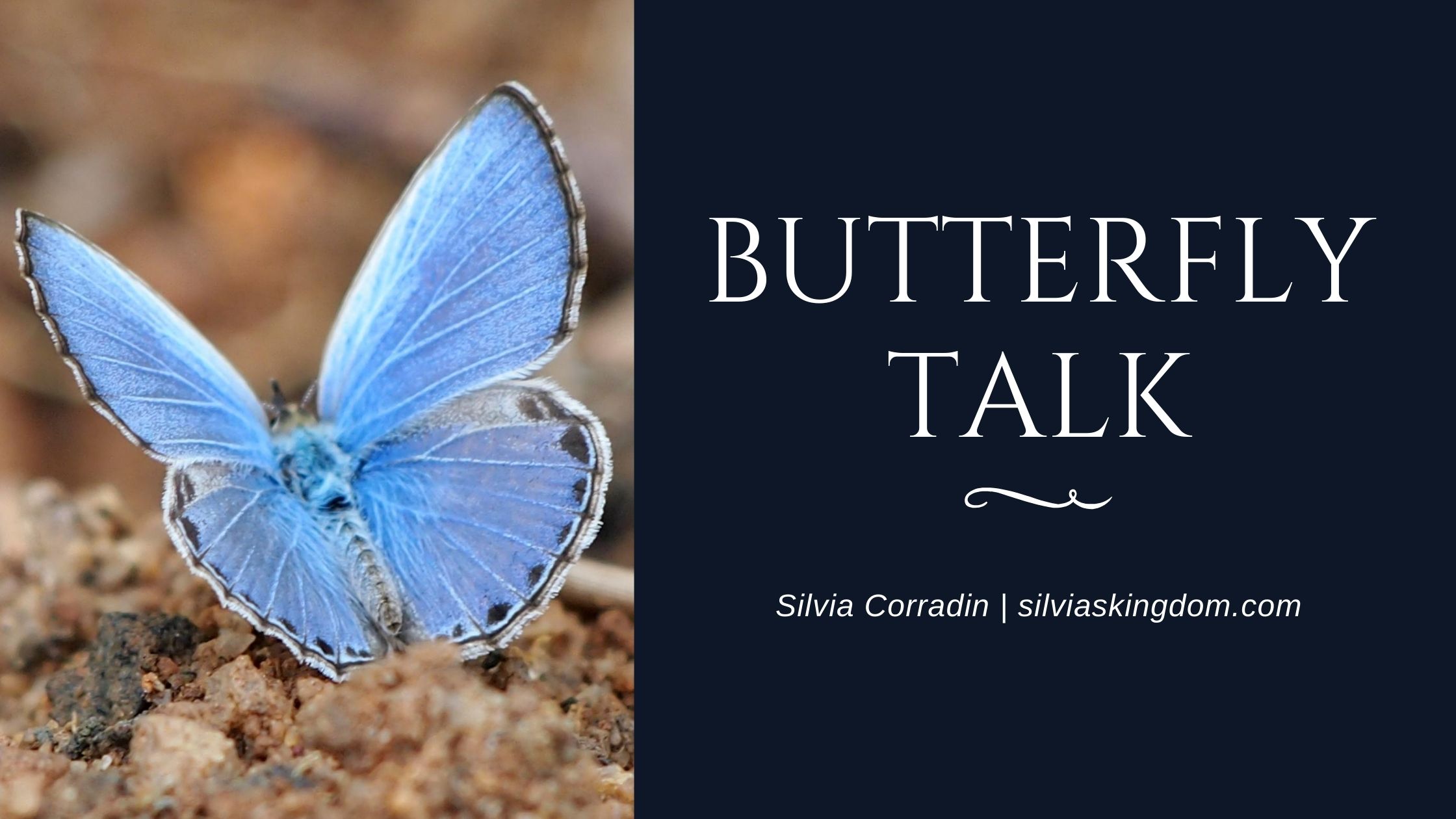 Butterfly Talk Episode 7 - October 15th - Pregnancy and Infant Loss Awareness Day